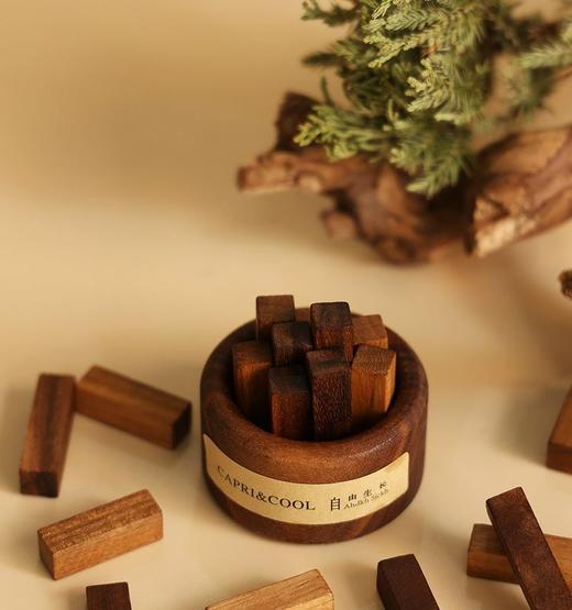 扩香木香薰摆件精油家用车载拓香器卧室办公室小众生日礼物 商品图6