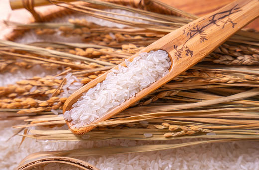 延边雁香米 /大米5kg编织袋装 商品图11