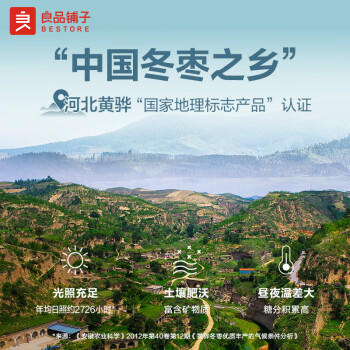 良品铺子 枣夹核桃700g蜜饯果干红枣大枣核桃健康营养家庭量贩节日送礼 商品图2