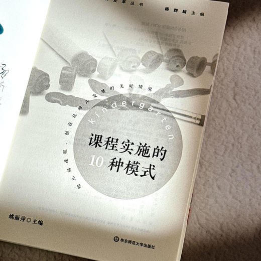 课程实施的10种模式 3-6岁儿童学习与发展指南 幼儿园教师课程建设 商品图6