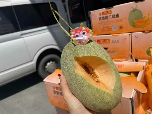 蜜瓜脆甜人气王来喽，晓蜜，纹路清晰。🍈甜如蜂蜜💯💯脆过雪梨皮薄又甜又脆[色][色][色]狂甩普通蜜瓜几条街🌟 商品图3