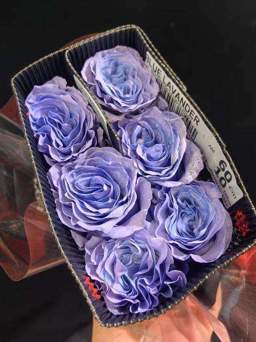 厄瓜多尔BLUE LAVANDER蓝心薰衣草染色玫瑰花10支 商品图6