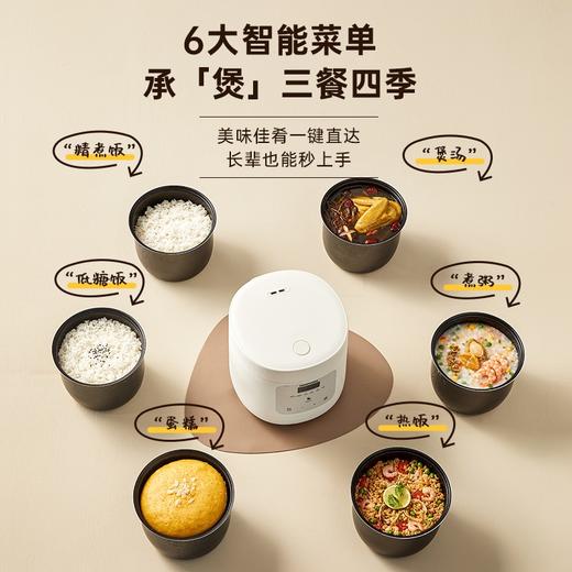 大宇低糖电饭煲FB10S 商品图2