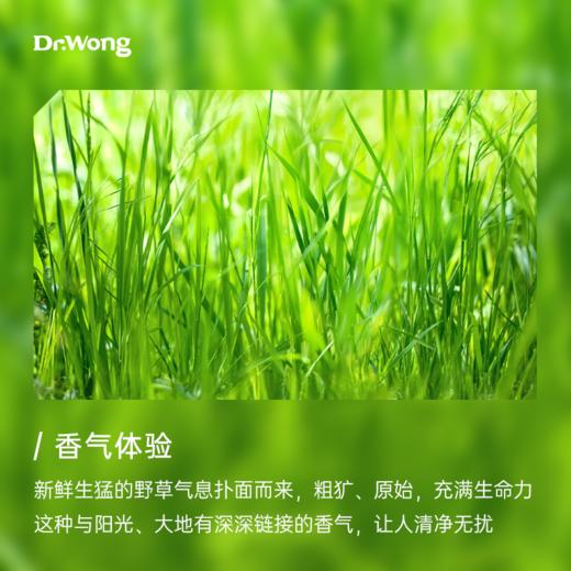 香茅 植物香薰精油 商品图1