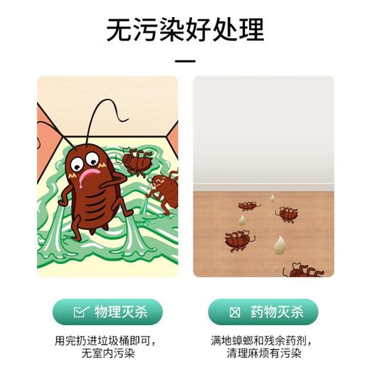 ARS安速  小强恢恢蟑螂屋（5枚装） 商品图3