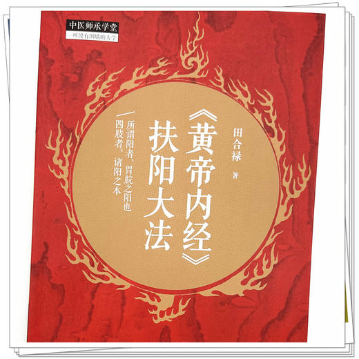 《黄帝内经》扶阳大法 田合禄 著 中国中医药出版社 中医师承学堂 临床医案 黄帝内经书籍 商品图3