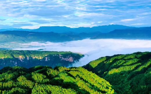 五一撒欢指南｜玉屏山吃住玩全攻略！解锁N种神仙玩法：草坪露营音乐节、彩虹滑道、恐龙谷、滑翔伞、山地越野车、山野烧烤···速来对暗号！258元起夜宿景区森海C位【99元起抢柳江古镇旁柳江别院A/B区】 商品图1