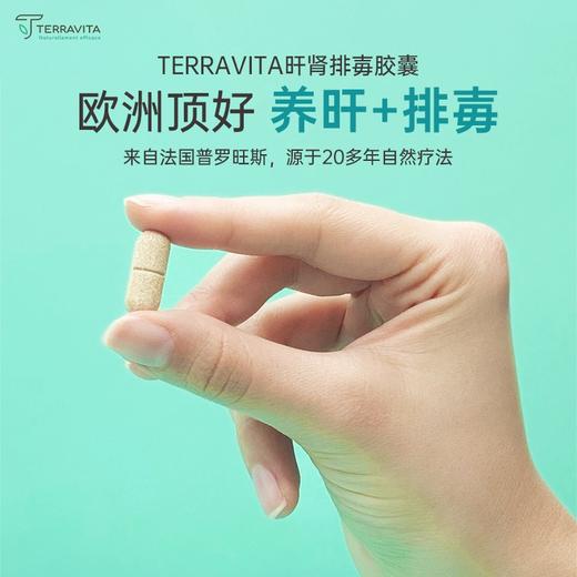 法国TERRAVITA泰乐维塔 肝脏净化胶囊 清除/排水和消除 60粒/瓶 商品图4