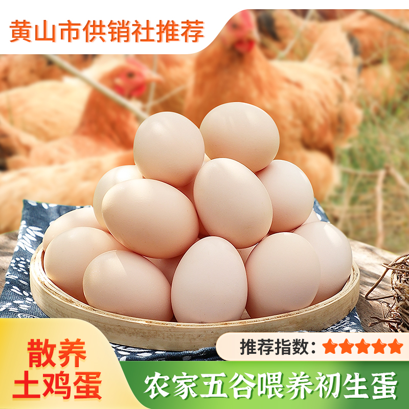 【散养初生蛋】新鲜现捡现发 皖南山林散养土鸡蛋初生蛋