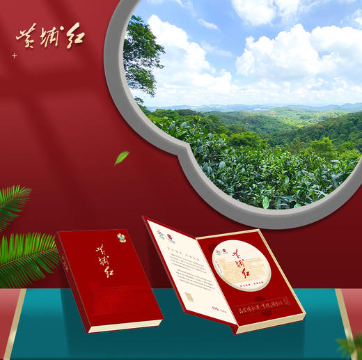黄埔红·红茶经典书盒 100克饼茶+茶针 商品图0