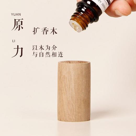 （4-12只装）精油驱蚊扩香木净化空气持久卧室驱虫挥发木 商品图5