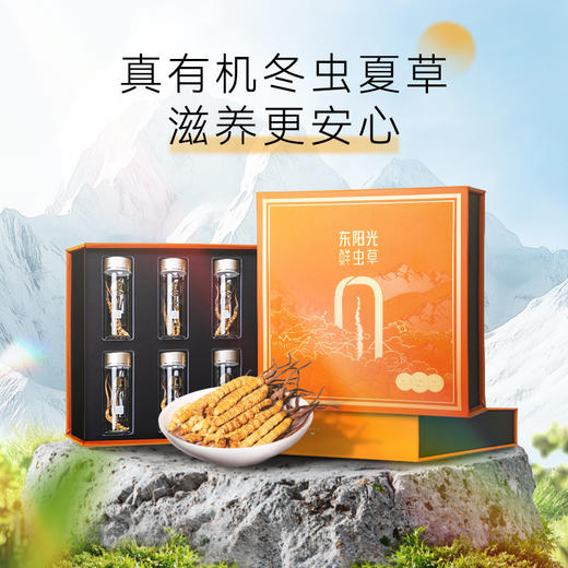 东阳光冬虫夏草 有机冻干虫草6克 3-4根/克 商品图8