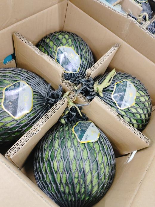 海南麒麟西瓜一个 商品图1