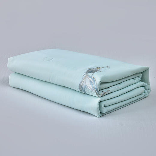 多喜爱  波光鱼跃-超柔大豆蛋白夏薄被芯/空调被【60S天丝绸凉感面料】【刺绣金鱼】【大豆纤维】【出芽设计】柔滑清凉有效抑菌 瞬凉黑科技 轻松水洗 商品图7