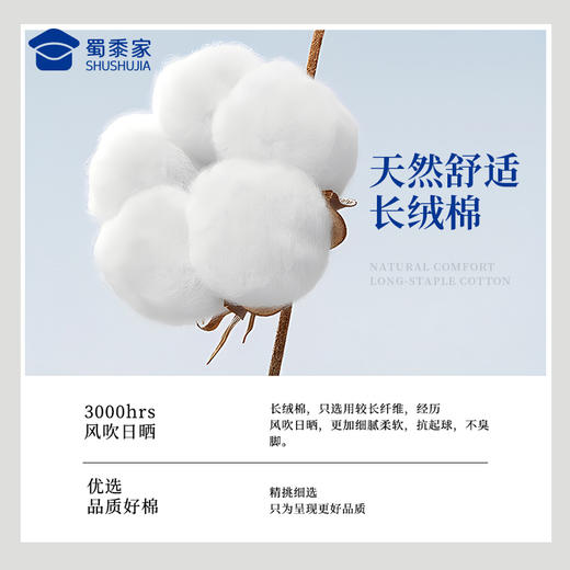 【10A级抑菌网眼中筒袜（3双装）】男士通勤训练袜透气运动袜子 商品图6