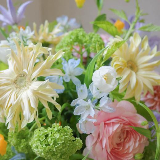 彩虹山脉 Rainbow Ridge 商品图2