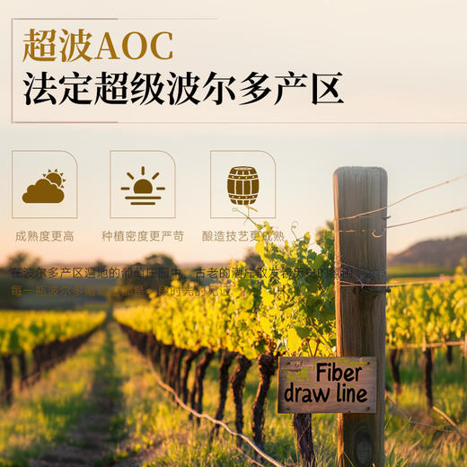 【超级波尔多】法国卡德涅十字古堡干红葡萄酒  法国原瓶进口   14%vol 商品图8