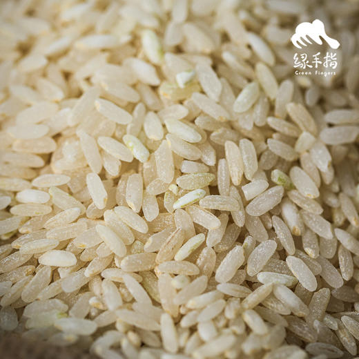 生态酵素稻米（糙米、胚芽米）（籼米） | 合作生产* Ecological rice (germ rice, brown rice) | Coproduction 商品图1