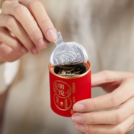 自家系列丨2016年 朋悦 老树白毫银针 100g（5g*20罐） 商品图3