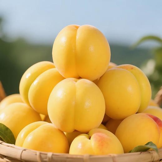 黄油桃2粒250g/份 商品图3