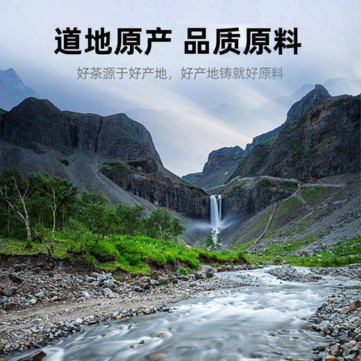 【冬季滋补】【杞里香蒲公英茶叶 50g/罐】  营养丰富  四季皆宜  采摘   自然清香 商品图2