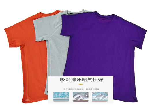 Y026女式网眼面料抗皱防晒速干运动圆领T恤 商品图3