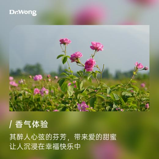 大马士革玫瑰（保加利亚） 植物香薰精油 商品图1