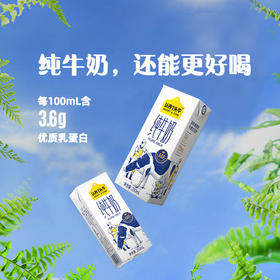 认养一头牛蛋白纯牛奶250ml*12盒3.6g蛋白