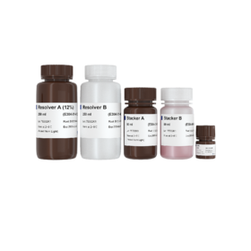 One-Step PAGE Gel Fast Preparation Kit (12%)