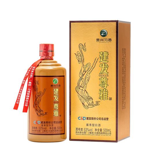 建发尊雅·旗舰版（2022年）53%vol 500ml 商品图1