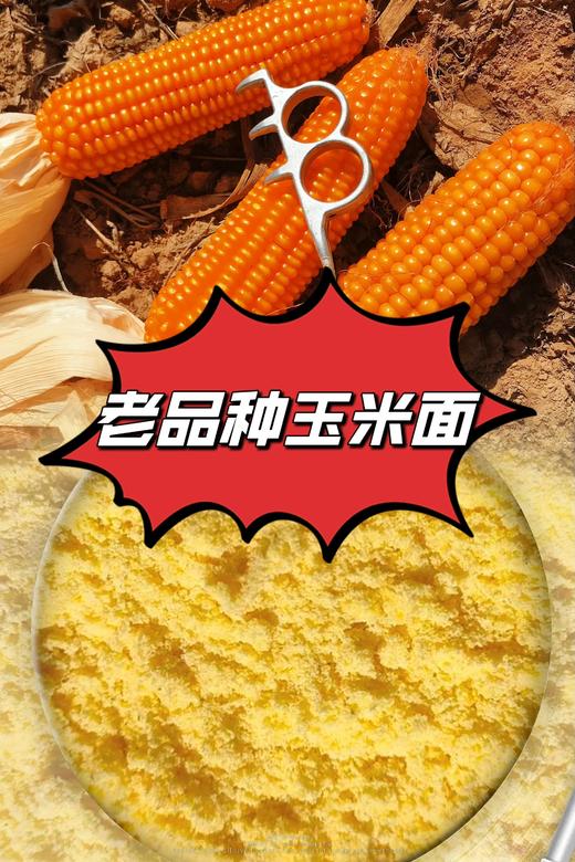 老品种杂粮(自留种)一墩青张志雷家庭农场·小米·大黄米·荞麦面·土豆淀粉·花芸豆等 商品图1