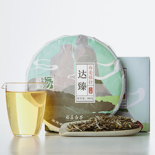 大家系列丨2019年 白毫银针 达臻 300g/饼 商品图0