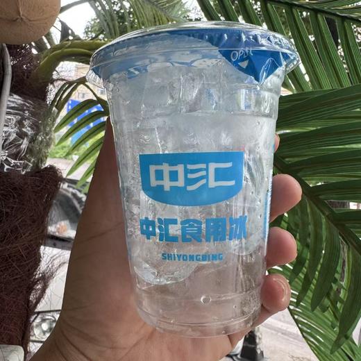 冰杯饮品伴侣(中汇) 商品图0