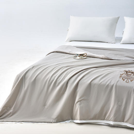 多喜爱 优雅绅士-超柔大豆蛋白夏薄被芯/空调被 【60S天丝绸凉感面料】【刺绣徽章】【大豆纤维】【出芽设计】柔滑清凉有效抑菌 瞬凉黑科技 轻松水洗 商品图2