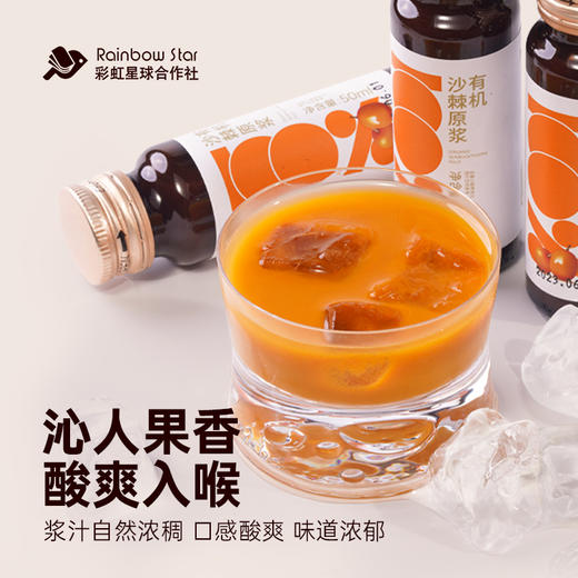 彩虹星球|有机沙棘原浆 商品图6