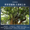 正山堂骏眉中国 大叶金粹 特级红茶贵州普安红茶罐装正宗单芽茶叶 商品缩略图2
