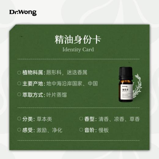 迷迭香 植物香薰精油 商品图2