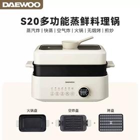大宇多功能料理锅S20