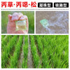 众邦机插丰48%丙草胺丙炔噁草酮异噁草松水稻田封闭水溶球除草剂 商品缩略图5