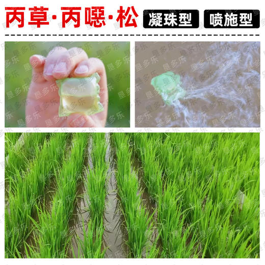 众邦机插丰48%丙草胺丙炔噁草酮异噁草松水稻田封闭水溶球除草剂 商品图5