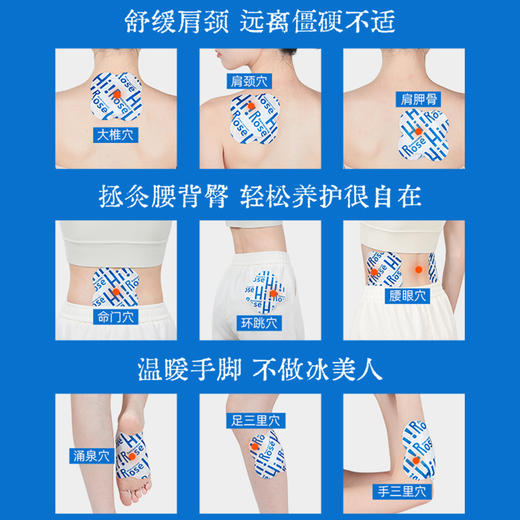 【真不二】大马士革玫瑰石菖蒲灸贴6盒装套组（10片量贩装）Y 商品图3