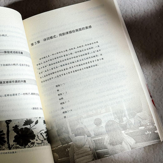 课程实施的10种模式 3-6岁儿童学习与发展指南 幼儿园教师课程建设 商品图8