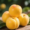 黄油桃2粒250g/份 商品缩略图0