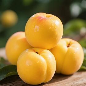 黄油桃2粒250g/份