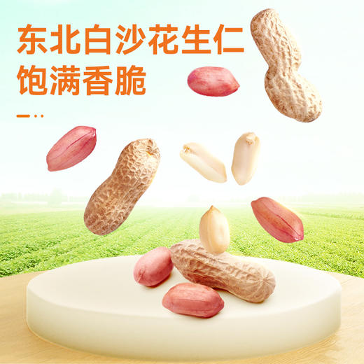 【沃隆】 海苔花生 量贩罐装 480g/罐 鱼皮花生海苔味花生米休闲办公零食坚果下酒菜小吃 商品图3