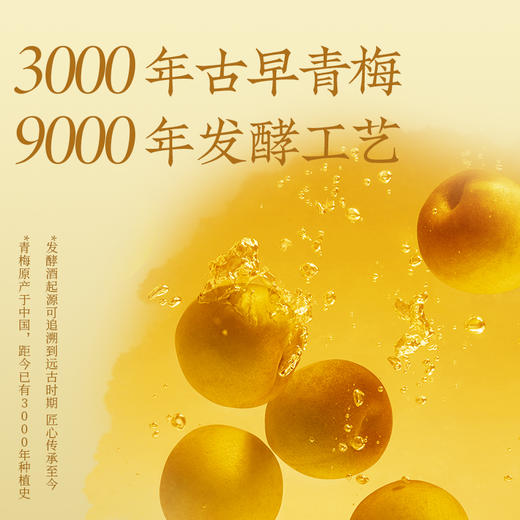 【新品】梅见青梅酒发酵梅酒12度330ml*2瓶微醺果酒低度酒梅子酒晚安酒甜酒 商品图3