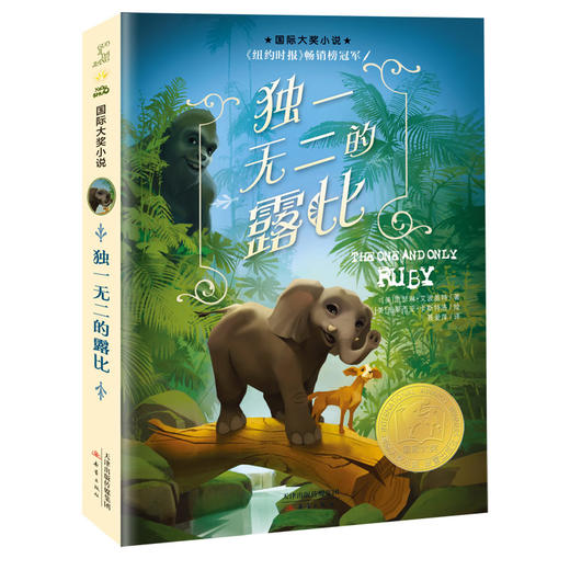 国际大奖小说--独一无二的露比 商品图0