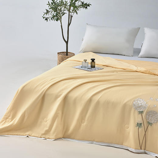 多喜爱 优雅绅士/波光鱼跃/生若夏花-超柔大豆蛋白夏薄被芯 /空调被【60S天丝绸凉感面料】【刺绣徽章】【大豆纤维】【出芽设计】柔滑清凉有效抑菌 瞬凉黑科技 轻松水洗 商品图2