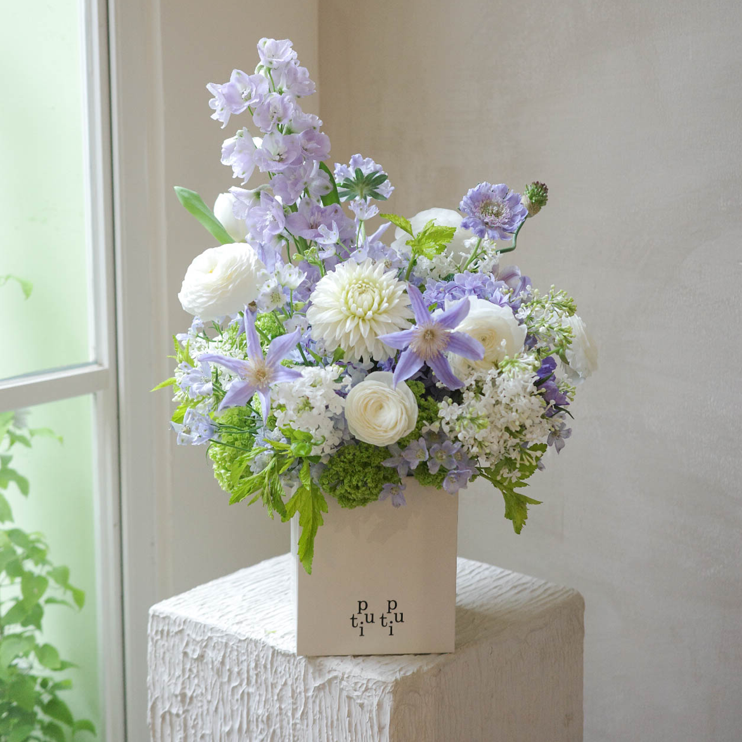 花遇和风 Lila Breeze