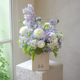 花遇和风 Lila Breeze